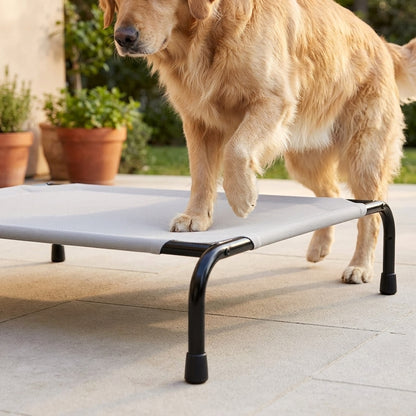 Elevated Cooling Dog Bed – 47.75" Large Outdoor & Indoor Dog Cot (Grey)