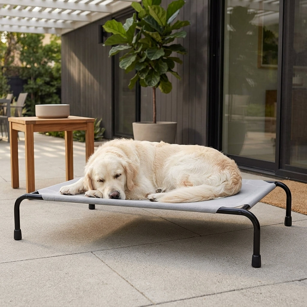 Elevated Cooling Dog Bed – 47.75" Large Outdoor & Indoor Dog Cot (Grey)